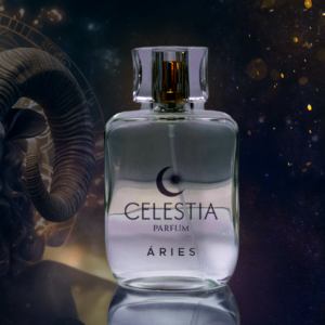 Aries Perfume Masculino 100ML