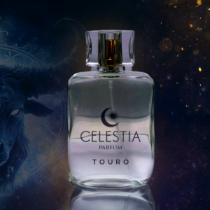 Touro Perfume Masculino 100ML